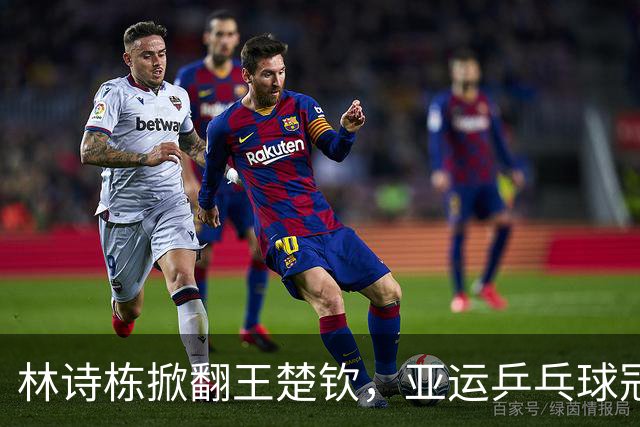 林诗栋掀翻王楚钦，亚运乒乓球冠军荣耀归属！