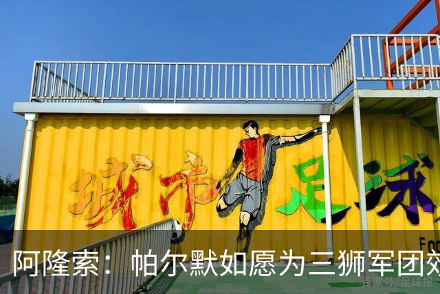 阿隆索：帕尔默如愿为三狮军团效力，凯塞多将为球队注入活力